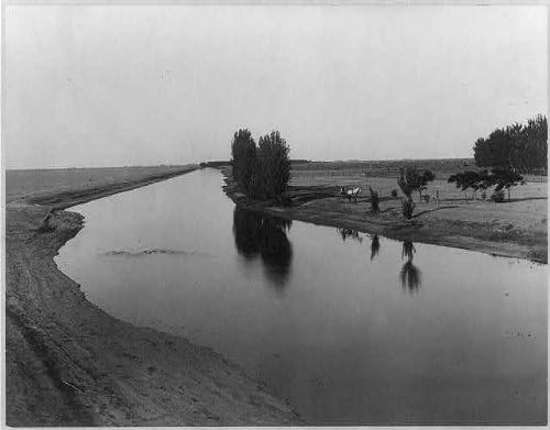 HistoricalFindings Fotó: Calloway Cana,Poso Ranch,Kern Megyéből,Kalifornia,CA,c1890,Gazdálkodás,Watkins